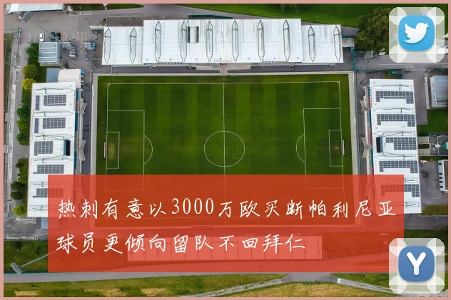 热刺有意以3000万欧买断帕利尼亚球员更倾向留队不回拜仁