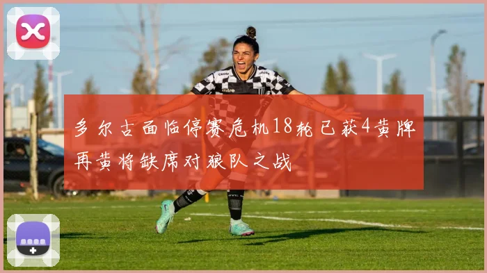 多尔古面临停赛危机18轮已获4黄牌再黄将缺席对狼队之战