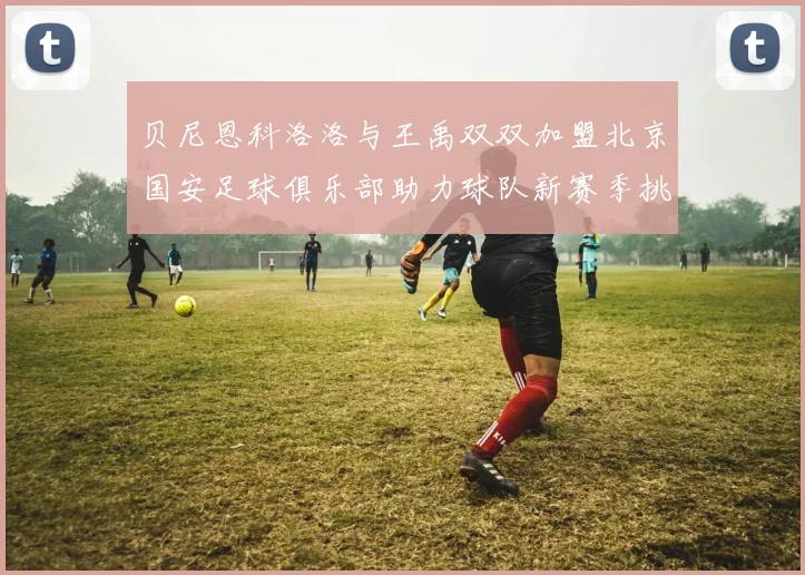 贝尼恩科洛洛与王禹双双加盟北京国安足球俱乐部助力球队新赛季挑战