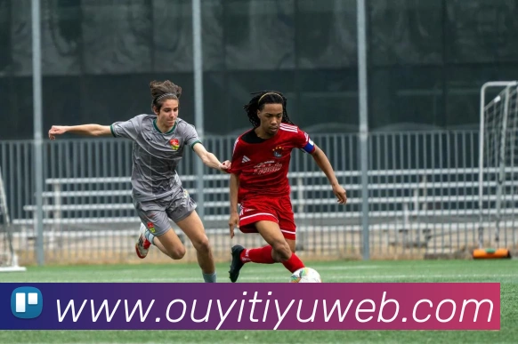 App Interface Preview