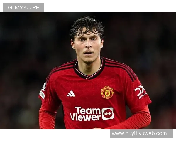 费内巴切花费超2000万欧成功签下埃因霍温中场威尔曼